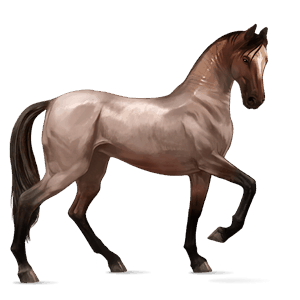 Верховая лошадь Ахалтекинская Пегая
