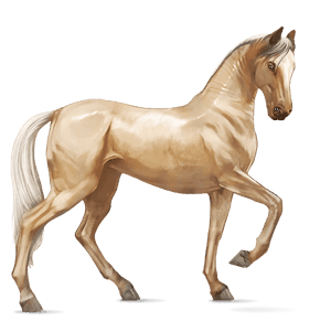 Верховая лошадь Ахалтекинская Огненно-рыжая