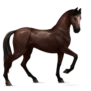 Верховая лошадь Четвертьмильная лошадь Огненно-рыжая