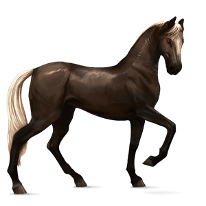 Верховая лошадь Ахалтекинская Огненно-рыжая