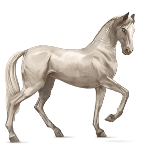 Верховая лошадь Арабская Чистокровная Изабелловая
