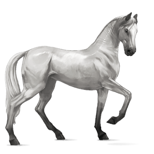 Верховая лошадь Ахалтекинская Светло-серый