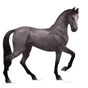 Верховая лошадь Мустанг Мышино-серый