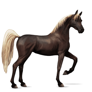 Верховая лошадь Донская Огненно-рыжая