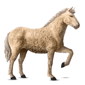Верховая лошадь Четвертьмильная лошадь Кремелло