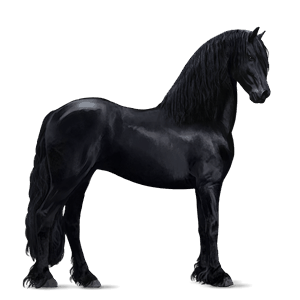 Верховая лошадь Аргентинский Криолло Пегий рыжий тобиано