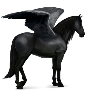 Верховой Пегас Лошадь лузитанской породы Вороная