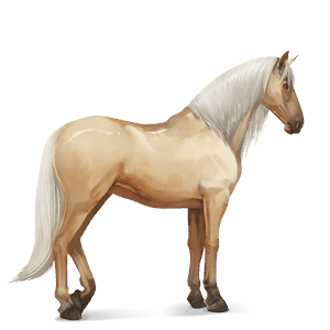Верховая лошадь Чистокровная испанская Соловая (Паломино)