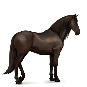 Верховая лошадь Лошадь лузитанской породы Огненно-рыжая
