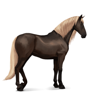 Верховая лошадь Французская Верховая Мышино-серый