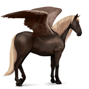 Верховой Пегас Лошадь лузитанской породы Гнедая