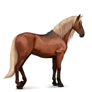 Верховая лошадь Цыганская упряжная Пегий вишнёво-гнедой тобиано