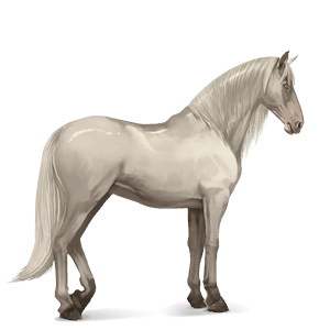 Верховая лошадь Чистокровная испанская Гнедая