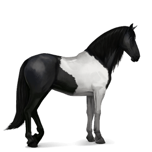 Верховая лошадь Лошадь лузитанской породы Серый в яблоках