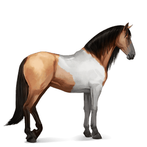 Верховая лошадь Лошадь лузитанской породы Красно-гнедая