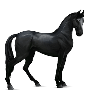 Верховая лошадь Хановериян, Ганноверская Вороная