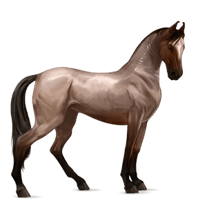 Верховая лошадь Ахалтекинская Пегая