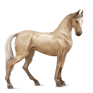 Верховая лошадь Теннесийская прогулочная Красно-гнедая
