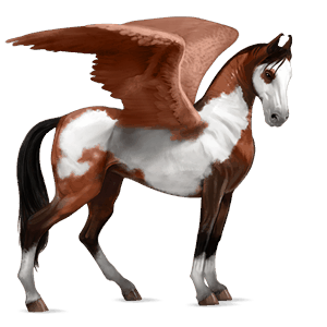 Верховой Пегас Берберийская лошадь Гнедая
