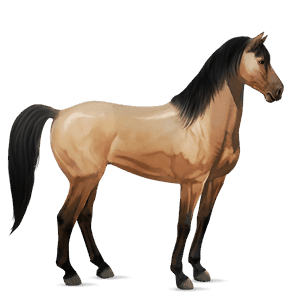 Верховая лошадь Мустанг Изабелловая