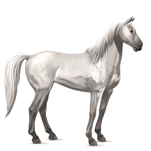 Верховая лошадь Мустанг Светло-серый