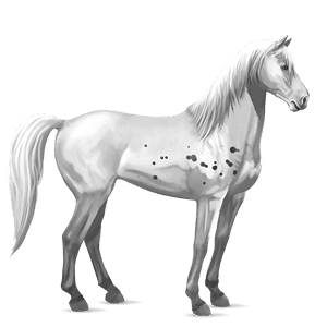 Верховая лошадь Мустанг Соловая (Паломино)