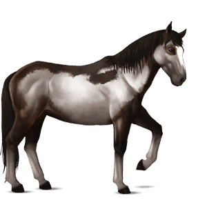 Верховая лошадь Пейнт Пегий огненно-гнедой тобиано