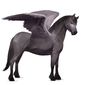 Пони-Пегас Бельгийский ездовой пони Мышино-серый