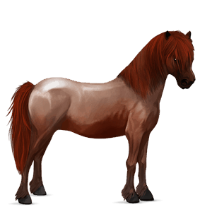 Пони Шетландский пони Рыжая