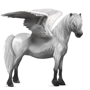 Пони-Пегас Шетландский пони Соловая (Паломино)