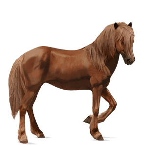 Верховая лошадь Буденновская Рыжая
