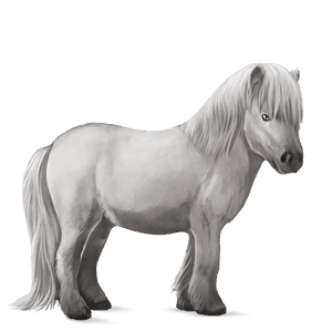 Пони Шетландский пони Светло-серый