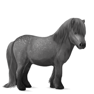Пони Пони Хайленд Светло-серый