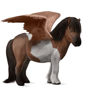 Пони-Пегас Шетландский пони Пегий гнедой тобиано