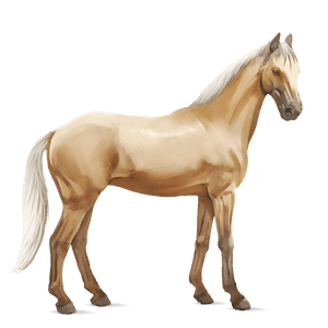 Верховая лошадь Голландская теплокровная Соловая (Паломино)