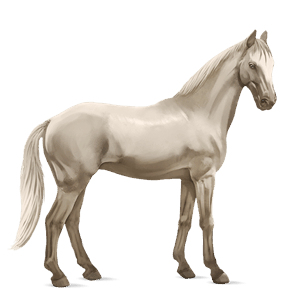 Верховая лошадь Лошадь лузитанской породы Гнедая