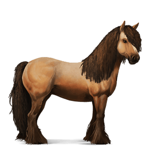 Верховая лошадь Цыганская упряжная Пегий буланой тобиано