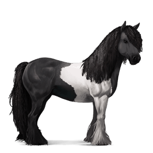 Верховая лошадь Цыганская упряжная Пегий огненно-гнедой тобиано