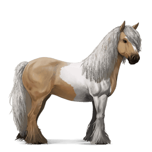 Верховая лошадь Лошадь лузитанской породы Кремелло