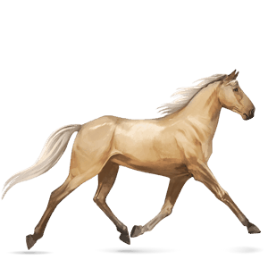 Верховая лошадь Французская Верховая Огненно-гнедой