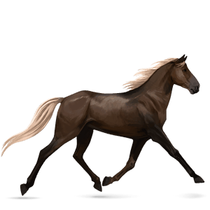 Верховая лошадь Ирландская охотничья Огненно-рыжая