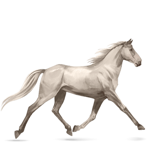 Верховая лошадь Французская Верховая Светло-серый