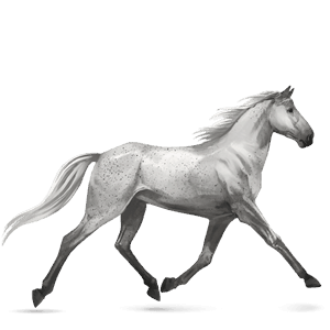 Верховая лошадь Орловский рысак Серый форелевый