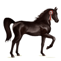 Верховая лошадь Орловский рысак Светло-серый
