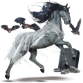Верховая лошадь Берберийская лошадь Серый в яблоках