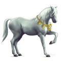 Верховая лошадь Берберийская лошадь Светло-серый
