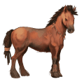 Верховая лошадь Французская Верховая Огненно-рыжая