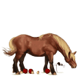 Верховая лошадь Донская Рыжая с лавовой гривой