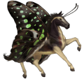 Верховая лошадь Английская чистокровная Соловая (Паломино)