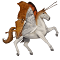 Верховая лошадь Тракененская Кремелло